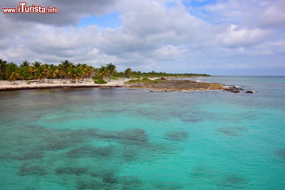 Immagine Uno scorcio del litorale della Costa Maya nei pressi del villaggio di Mahahual, Messico. Siamo vicino al molo dove attraccano le navi da crociera.