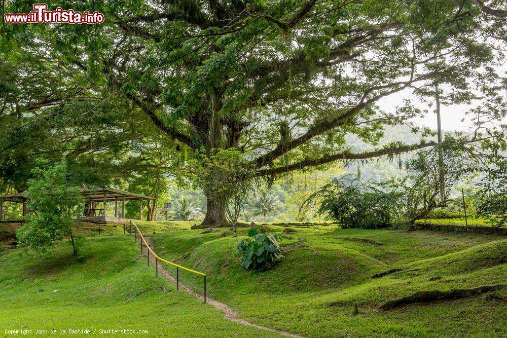 Immagine Uno scorcio del Lopinot Village a Trinidad, Repubblica di Trinidad e Tobago. Situato a nord di Arouca, questo villaggio prende il nome da Charles Joseph Count de Loppinot, un giovane tenente dell'esercito francese - © John de la Bastide / Shutterstock.com