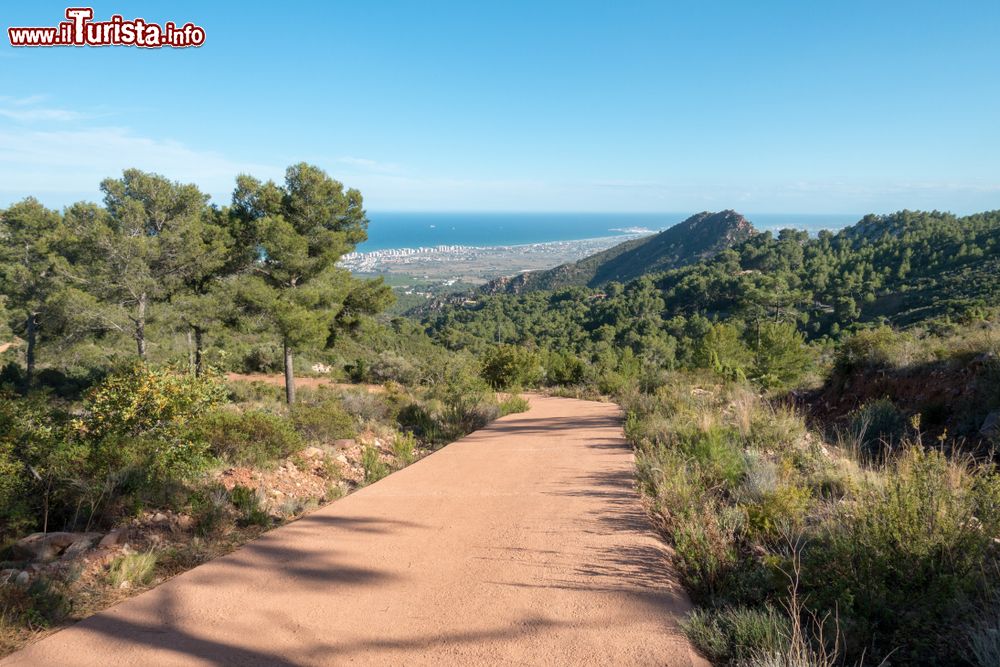 Immagine Uno scorcio del Mare Mediterraneo visto dal Deserto delle Palme a Benicassim, Spagna. Questo parco naturale è situato nella catena montuosa costiera nella regione di Plana Alta ed è caratterizzato da picchi e dirupi.