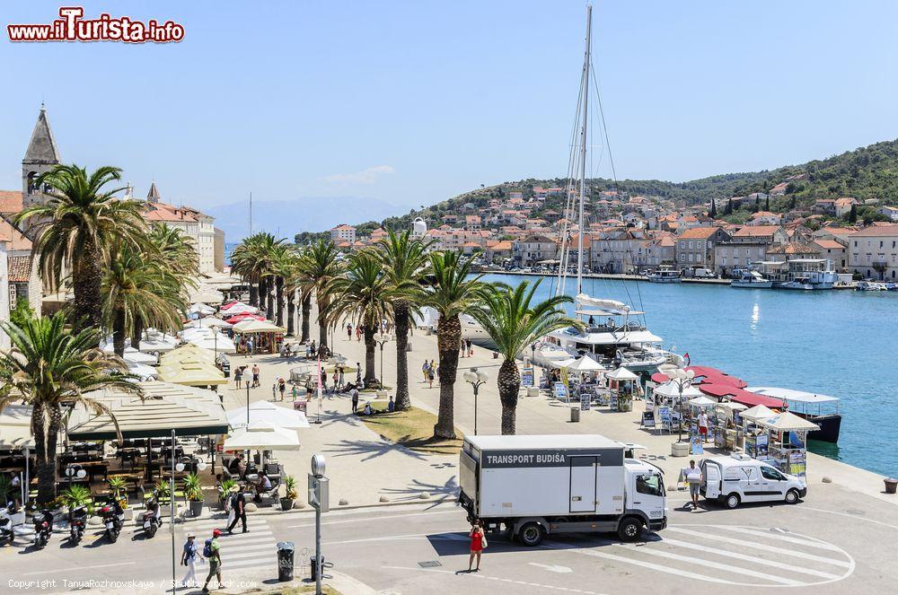 Immagine Uno scorcio del molo di Trogir, Croazia, con le palme affacciate sul mare - © TanyaRozhnovskaya / Shutterstock.com