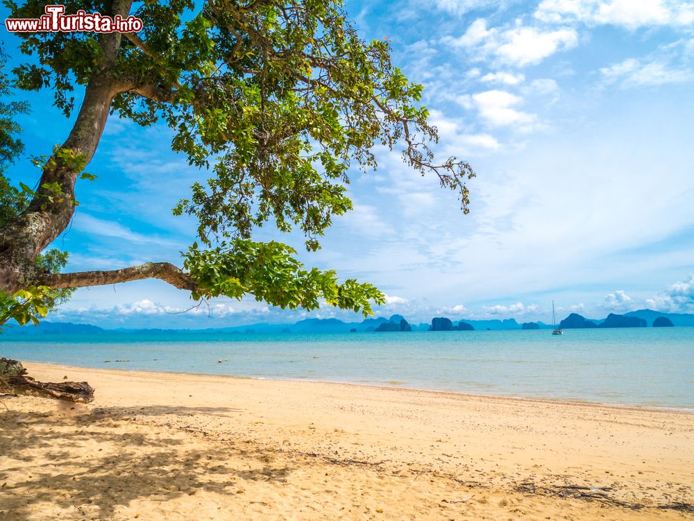 Immagine Uno scorcio del paradiso naturale sull'isola di Koh Yao Noi, Phang Nga, Thailandia.