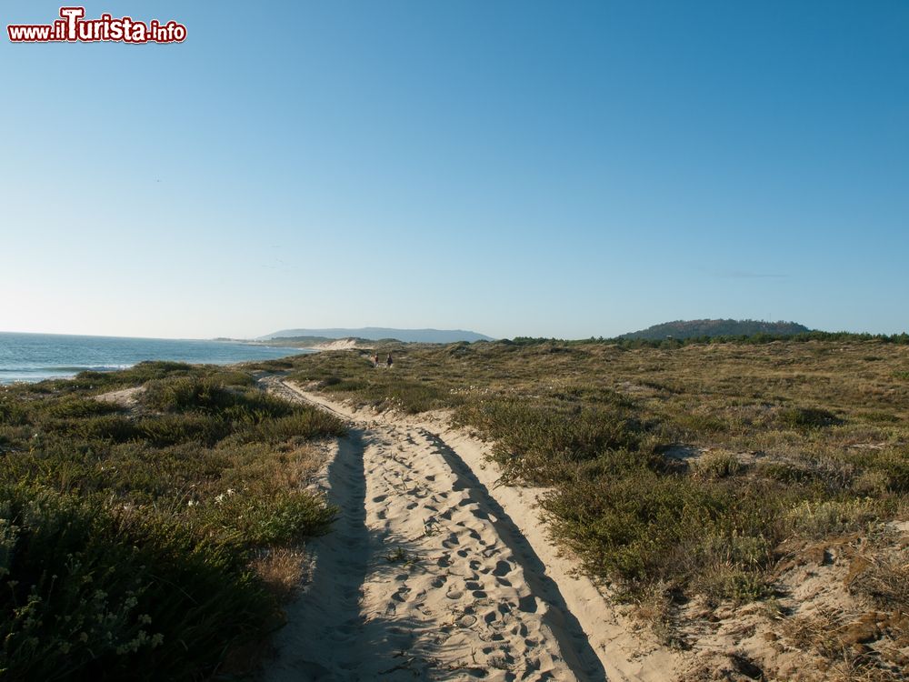 Immagine Uno scorcio del Parco Naturale di Esposende, Portogallo.