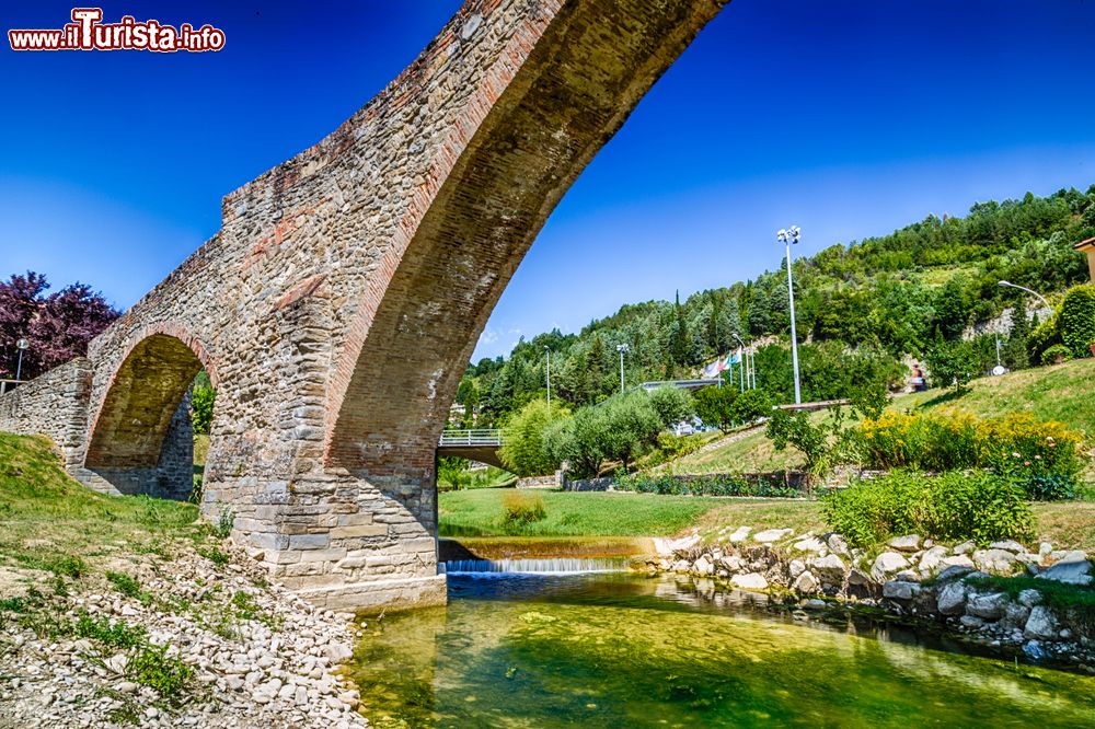 Immagine Uno scorcio del ponte a schiena d'asino di Modigliana, Emilia-Romagna