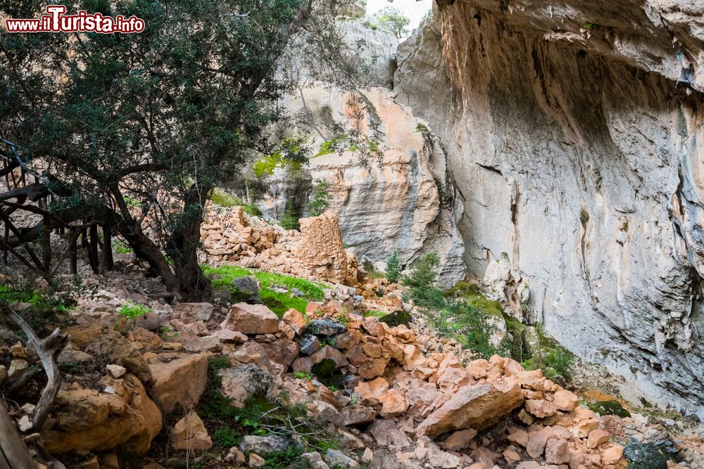 Immagine Uno scorcio del sito archeologico di Tiscali nella valle di Lanaitto, Dorgali, Sardegna. Decenni di incuria e saccheggi hanno notevolmente danneggiato questo luogo che conserva tuttavia un'atmosfera suggestiva.