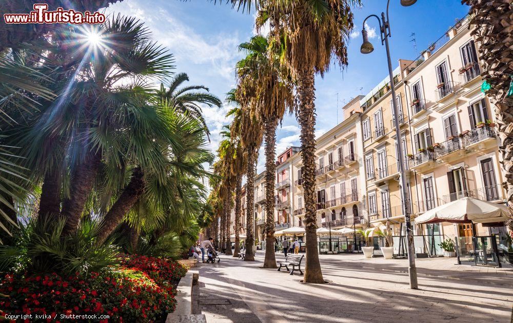 Immagine Uno scorcio del viale alberato di Bari, Puglia. Qui si affacciano eleganti edifici e palazzi antichi a fianco di attività commerciali e ristoranti - © kvika / Shutterstock.com