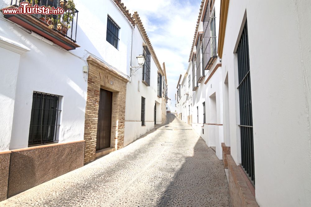 Immagine Uno scorcio del villaggio bianco di Carmona, Andalusia, Spagna.