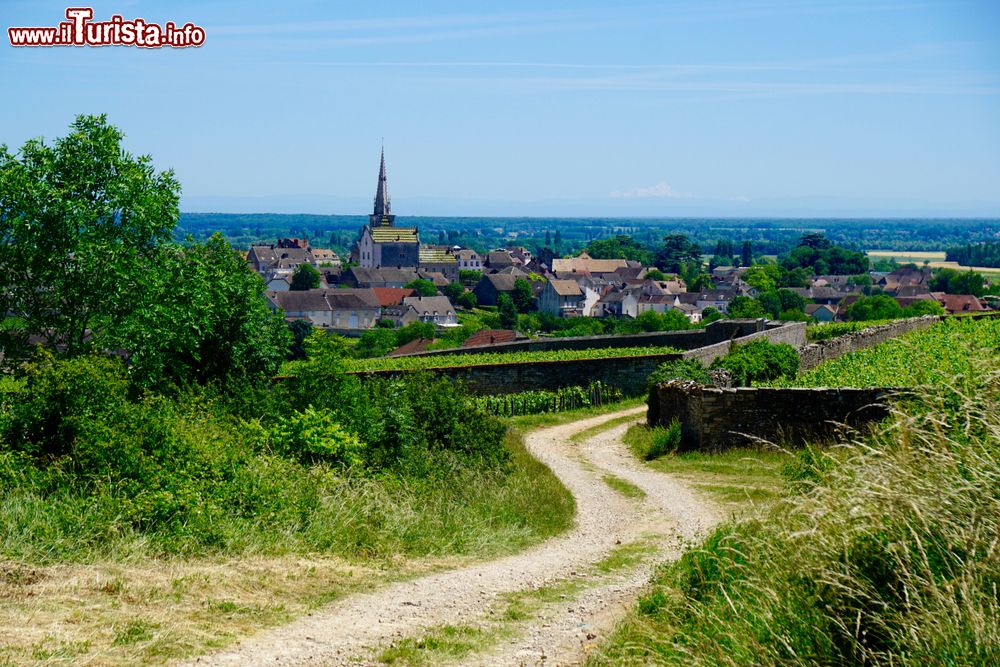 Immagine Uno scorcio del villaggio di Meursault nella campagna della Borgogna in Francia