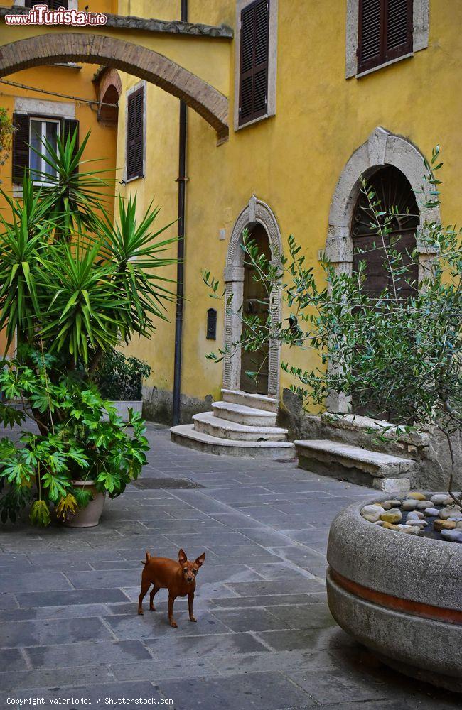 Immagine Uno scorcio della città di Orte nel Lazio, Provincia di Viterbo - © ValerioMei / Shutterstock.com