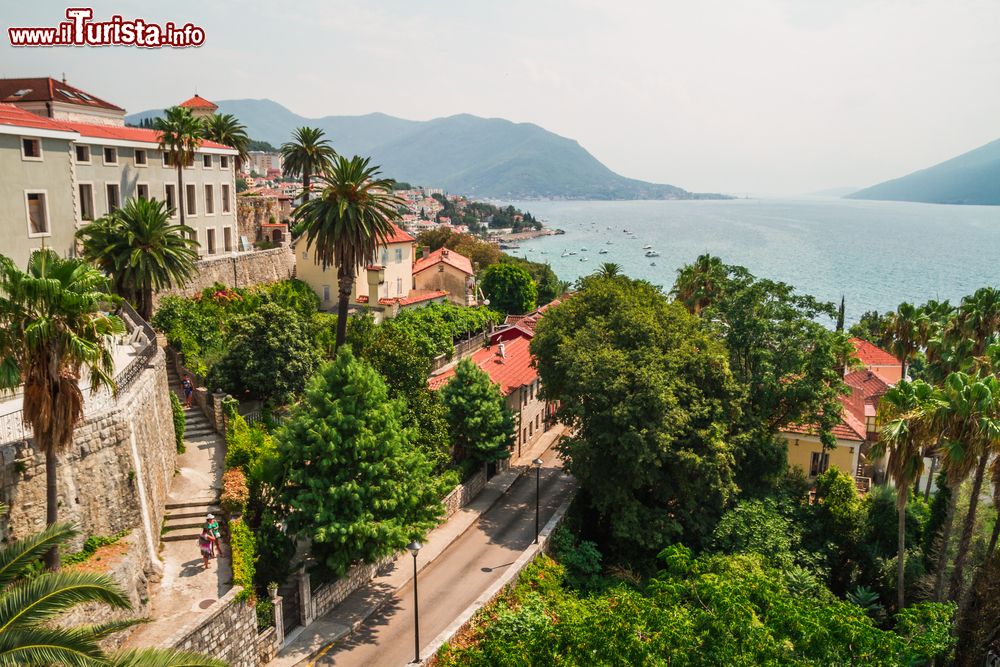 Immagine Uno scorcio della città vecchia di Herceg Novi, Montenegro. Con le sue antiche mura, le piazze assolate e l'atmosfera vivace, questa località a poche decine di chilometri da Dubrovnik merita di essere visitata.