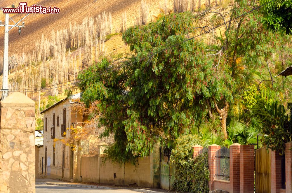 Immagine Uno scorcio della cittadina di Pisco Elqui nella vallata di Elqui, Cile.