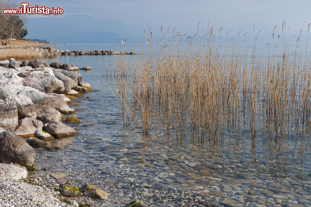 Immagine Uno scorcio della costa del lago di Garda a  Padenghe in Lombarida