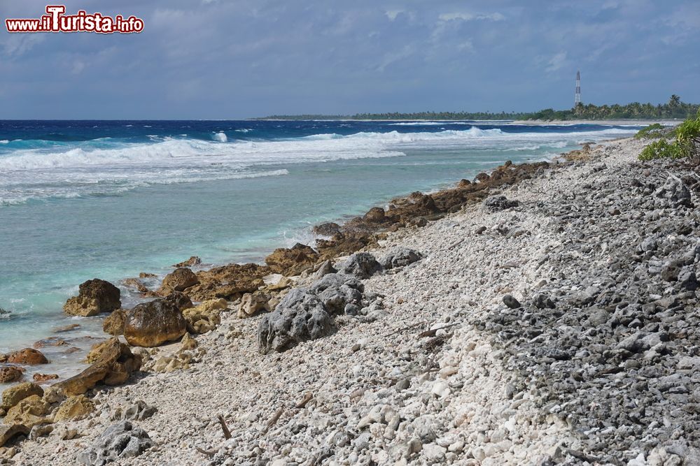 Immagine Uno scorcio della costa dell'isola di Rangiroa, arcipelago delle Tuamotu (Polinesia Francese), Oceano Pacifico.