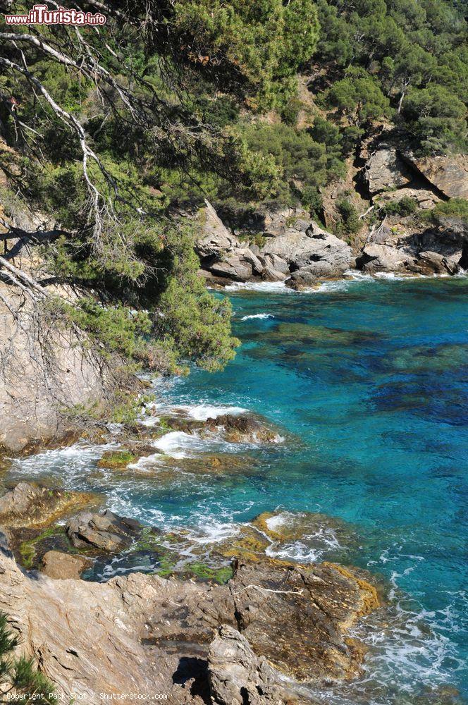 Immagine Uno scorcio della costa rocciosa a picco sul mare a Rayol-Canadel-sur-Mer, Francia - © Pack-Shot / Shutterstock.com