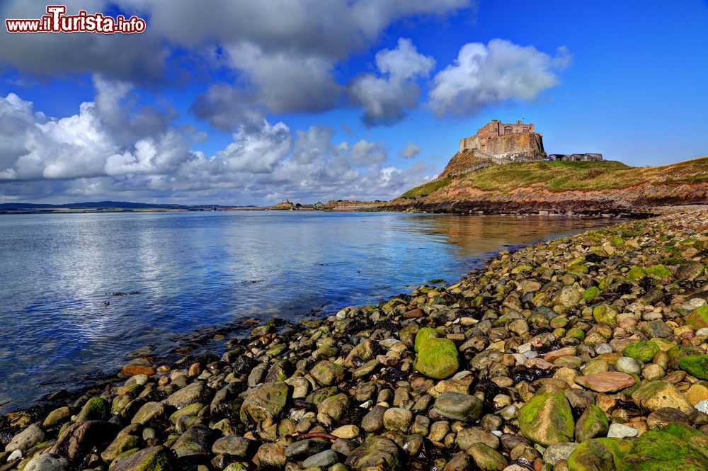 Immagine Uno scorcio della costa rocciosa di Holy Island, Northumberland (Inghilterra). Sullo sfondo, il maniero del XVI° secolo.