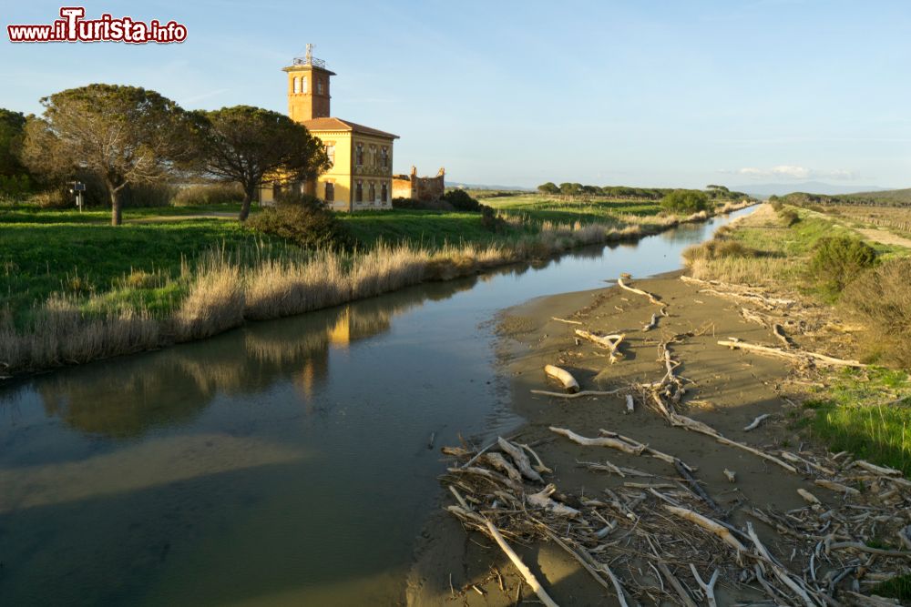 Immagine Uno scorcio della costa selvaggia di Marina di Alberese in Toscana