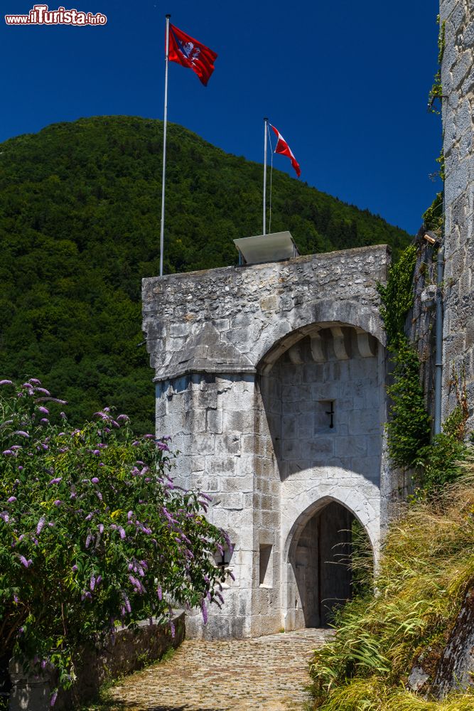 Immagine Uno scorcio della fortezza medievale di Menthon-Saint-Bernard il castello vicino a Annecy in Francia