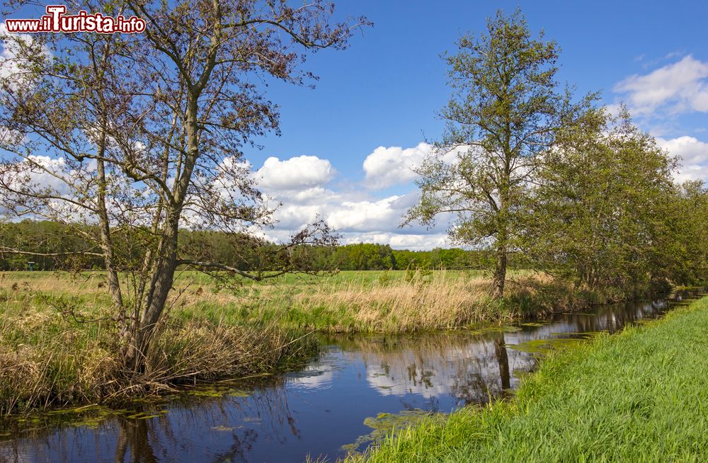 Immagine Uno scorcio della regione di Nuthe-Nieplitz, siamo Brandeburgo in Germania