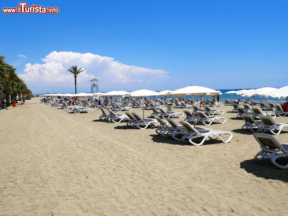 Immagine Uno scorcio della spiaggia Mackenzie nei pressi di Larnaca, isola di Cipro. Quest'ampia fascia di sabbia soffice è dotata di sdraio e ombrelloni per rilassarsi sotto il sole.