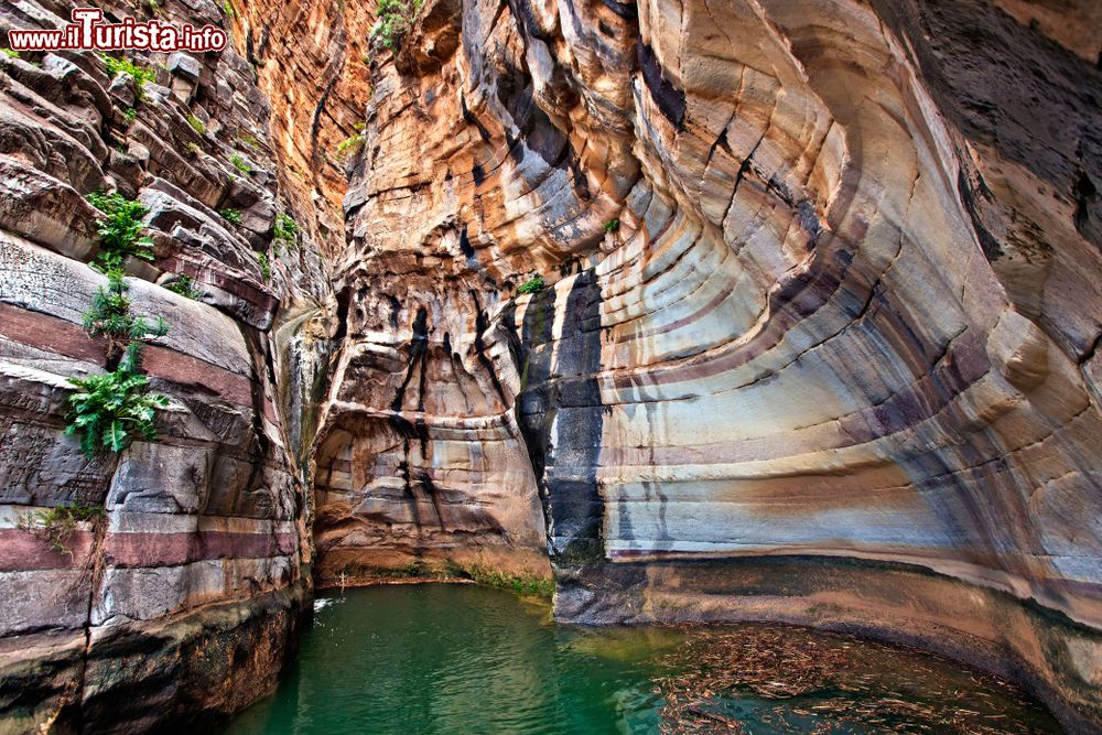 Immagine Uno scorcio della splendida gola di Ha, Lassithi, Creta, con uno dei tanti laghetti (Grecia).
