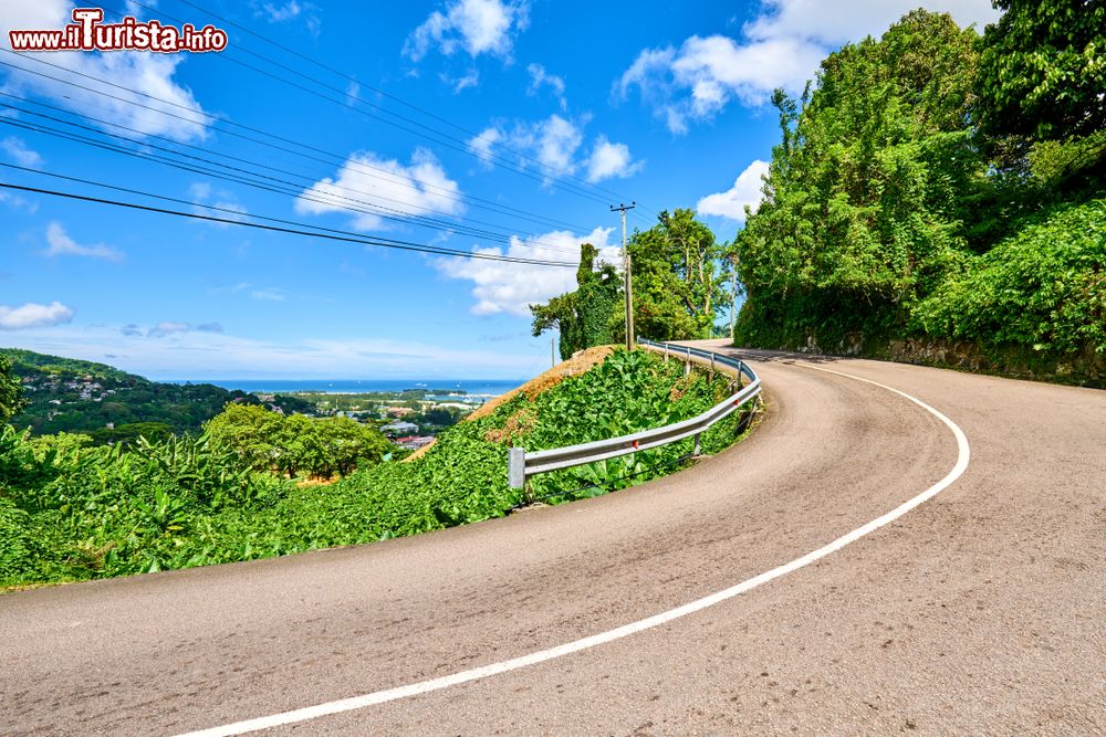 Immagine Uno scorcio della suggestiva Sans Souci Road a Victoria, isola di Mahé, Seychelles.