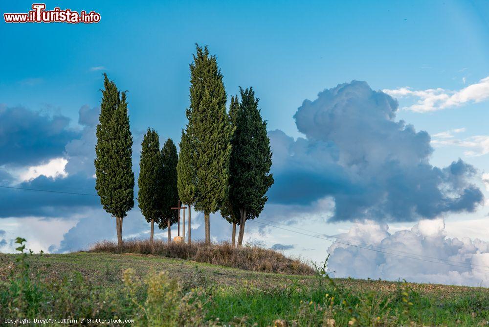 Immagine uno scorcio della Val d'Orcia vicino a Bagni San Filippo in Toscana - © DiegoMariottini / Shutterstock.com