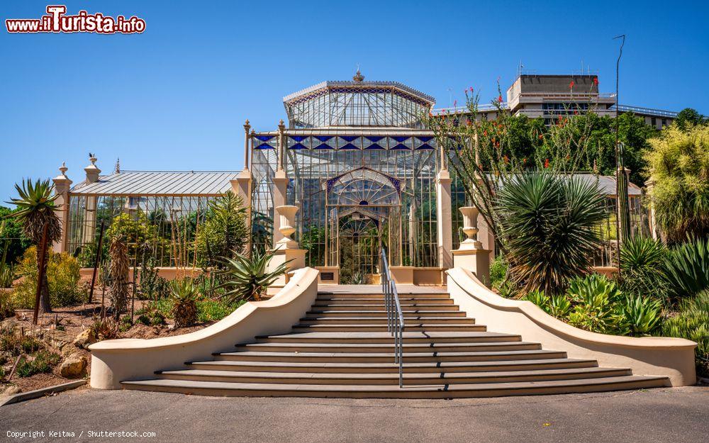 Immagine Uno scorcio dell'Adelaide Botanic Garden, Australia: una serra in vetro in stile vittoriano - © Keitma / Shutterstock.com