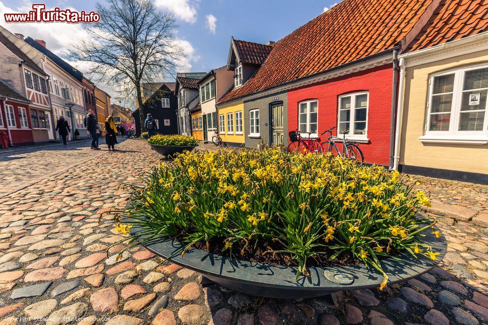 Immagine Uno scorcio dell'antica cittadina di Odense, Danimarca. Ricca di testimonianze di diversi periodi storici, Odense risale all'epoca vichinga - © RPBaiao / Shutterstock.com
