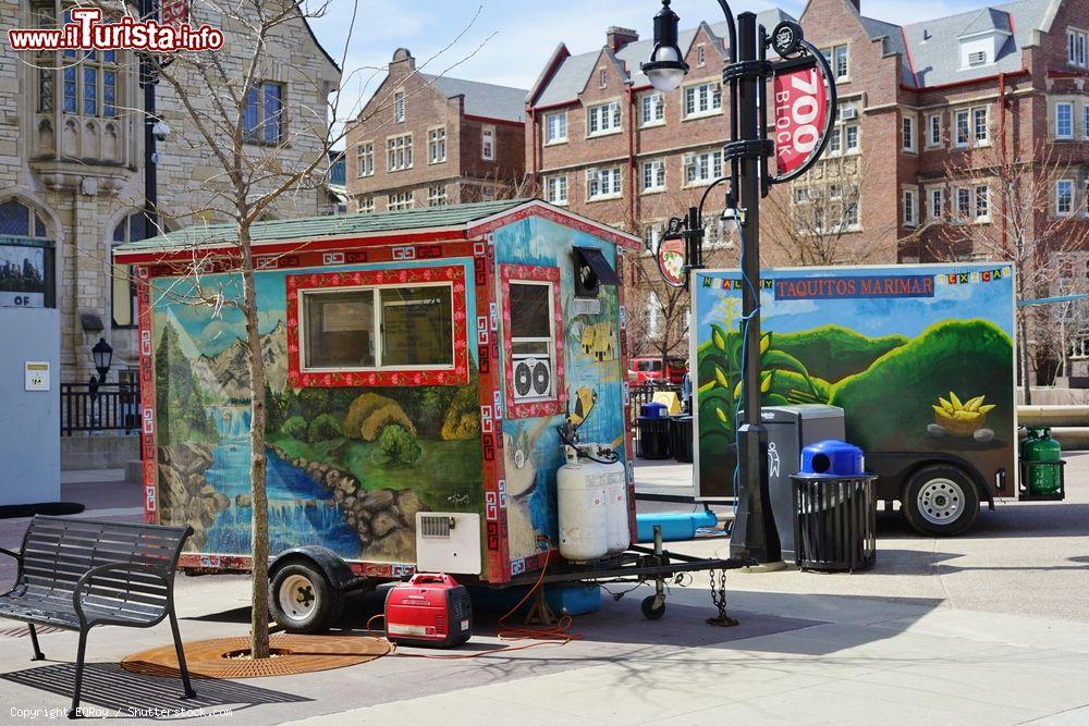 Immagine Uno scorcio dell'area pedonale State Street a Madison, USA - © EQRoy / Shutterstock.com