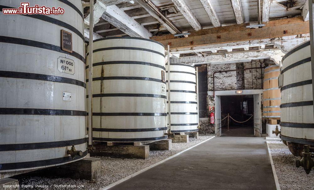 Immagine Uno scorcio delle cantine della distilleria Otard a Cognac, Francia, una delle più pregiate per la produzione del cognac - © Evgeny Shmulev / Shutterstock.com