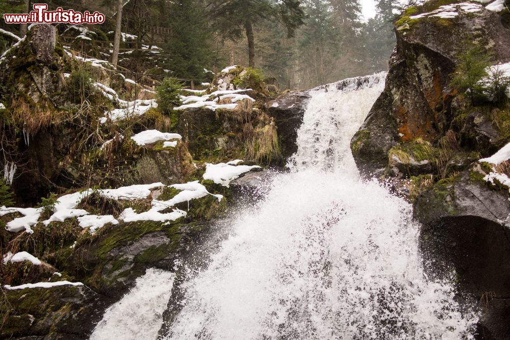 Immagine Uno scorcio delle cascate a Triberg, Foresta Nera, Germania. Sono fra le più alte del paese con una discesa di 163 metri.