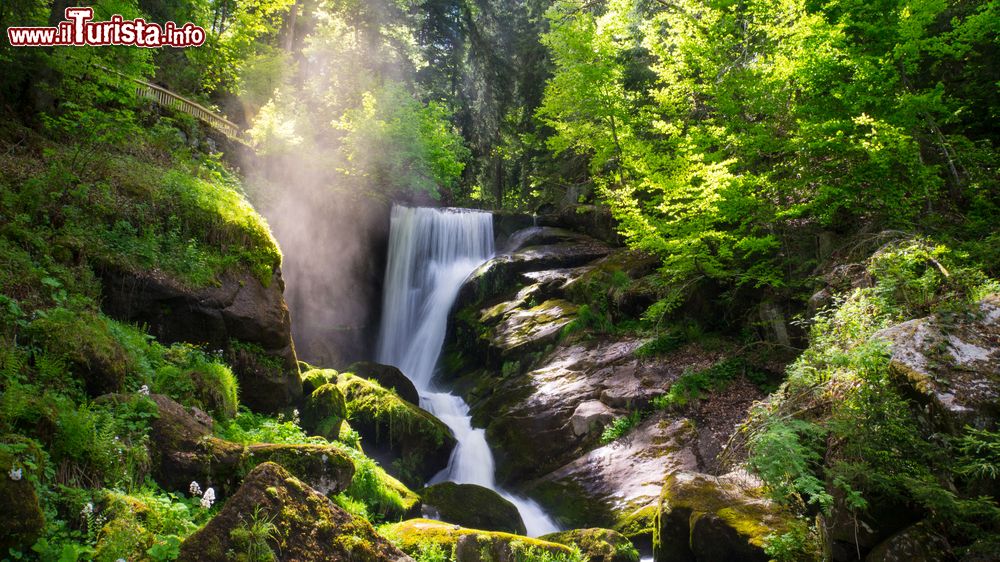 Immagine Uno scorcio delle cascate di Triberg, Foresta Nera, con i vapori dell'acqua (Germania).