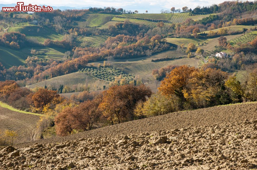Immagine Uno scorcio delle colline del Montefeltro che circondano Mondaino al confine tra Romagna e Marche