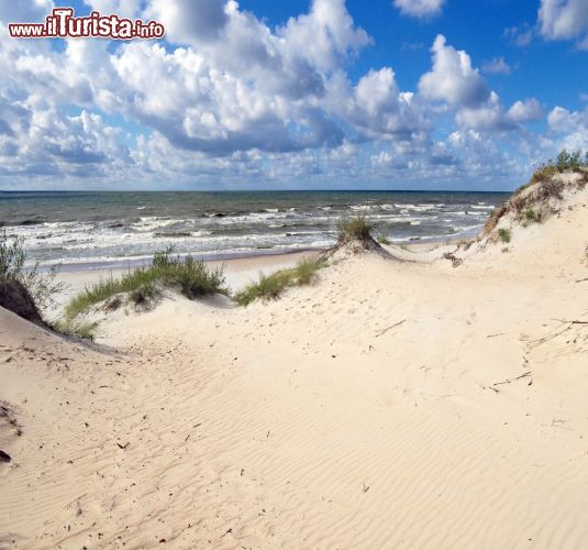 Immagine Uno scorcio delle dune baltiche su una spiaggia di Nida, Lituania - © Virginija Valatkiene / Shutterstock.com