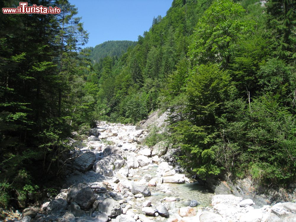 Immagine Uno scorcio delle gole Garnitzenklamm vicino al villaggio di Hermagor, Carinzia, Austria.