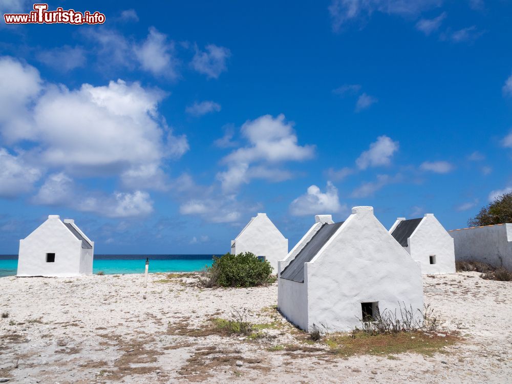 Immagine Uno scorcio dell'isola di Bonaire, Antille olandesi.