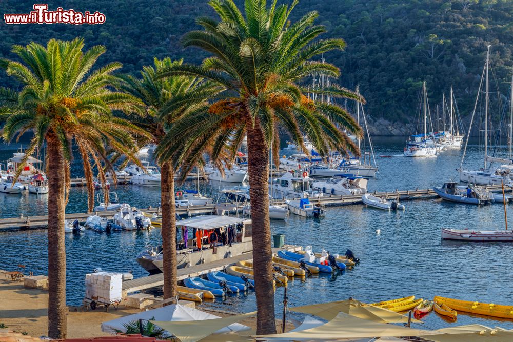 Immagine Uno scorcio dell'isola di Port Cros nel parco nazionale di Hyères, Francia. Quest'isolotto di 7 km quadrati di superficie appartiene all'arcipelago di Hyères.