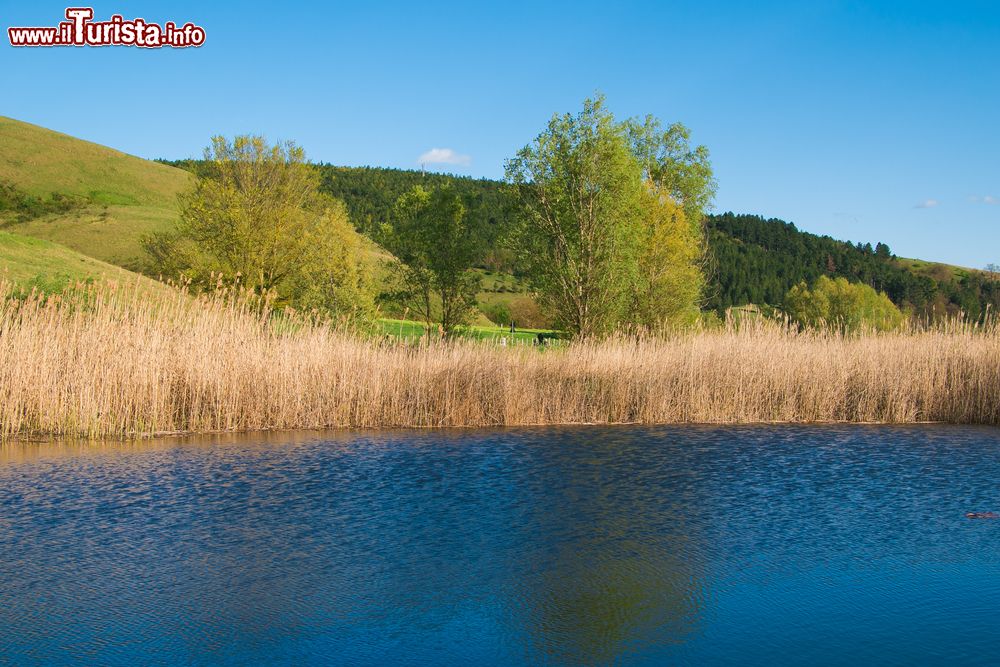Immagine Uno scorcio dello stagno di Colfiorito in Umbria, siamo ad est di Foligno