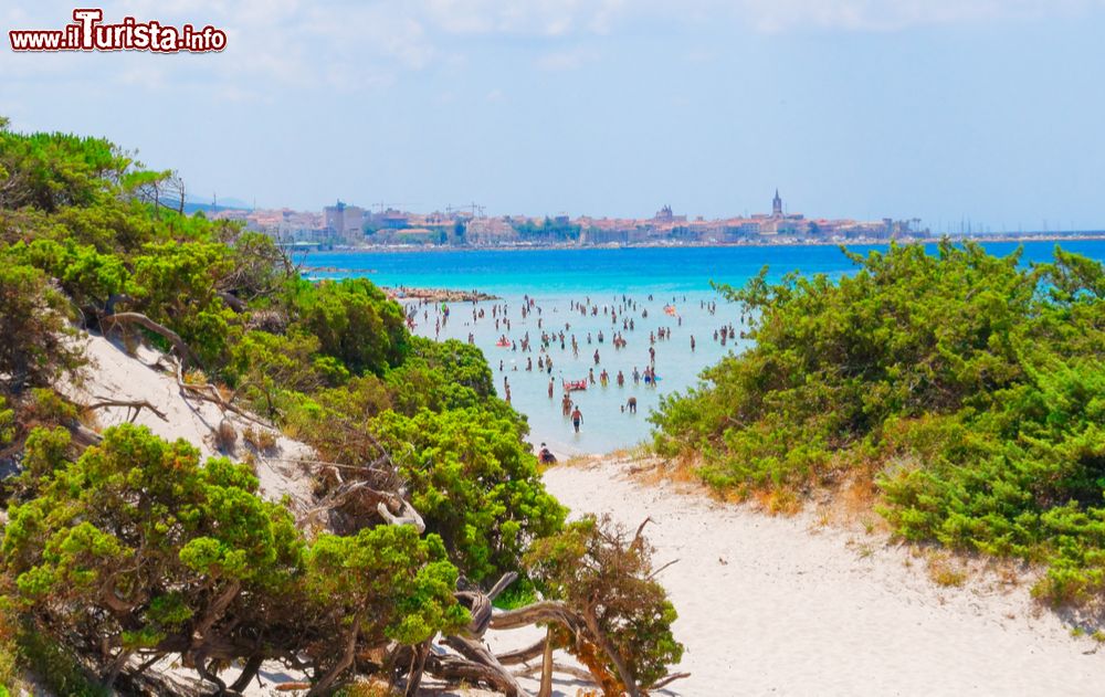 Immagine Uno scorcio di Alghero con dune e spiaggia di sabbia (Sardegna). La città di Alghero si trova sulla costa della Riviera del Corallo che offre tratti di splendide spiagge fra cui quelle delle Bombarde, del Lazzaretto, di Mugoni e del Lido.