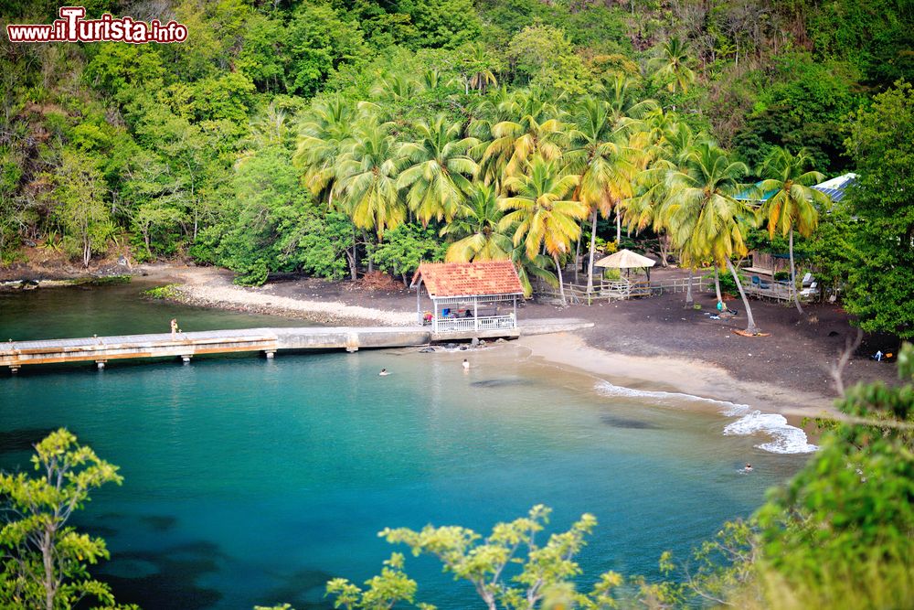 Immagine Uno scorcio di Anse Noire, nei pressi di Grande Anse, Martinica. Questa spiaggia di sabbia nera nella parte meridionale della Martinica è una delle più selvagge dell'isola. Sembra un nastro di sabbia vulcanica circondata da alte palme da cocco e da una vegetazione lussureggiante.