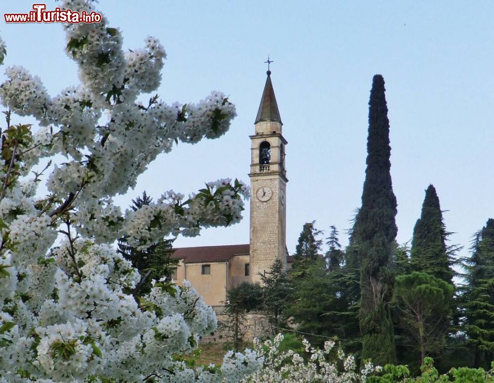 Immagine uno scorcioo di Castegnero in Fiore in primavera - © Lorenz13F, CC BY-SA 4.0, Wikipedia