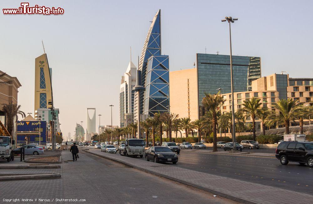 Immagine Uno scorcio di King Fahd's Street a Riyadh con grattacieli e palazzi sullo sfondo (Arabia Saudita) - © Andrew V Marcus / Shutterstock.com