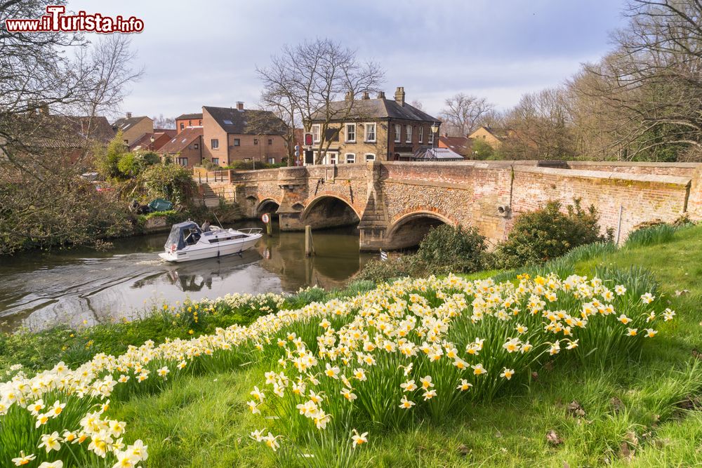 Immagine Uno scorcio di Norwich con il Bishopgate Bridge in primavera, Norfolk (Inghilterra).