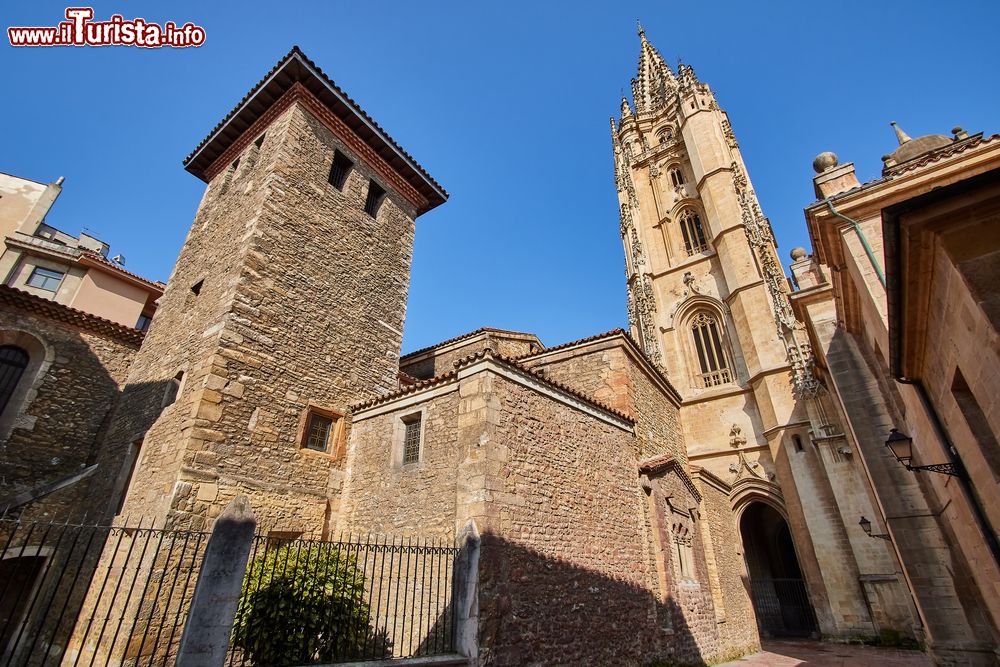 Immagine Uno scorcio di Oviedo e della cattedrale di San Salvador, Asturie, Spagna. Oviedo è nota anche per la sua antica torre medievale, luogo in cui sorge la cattedrale gotica.