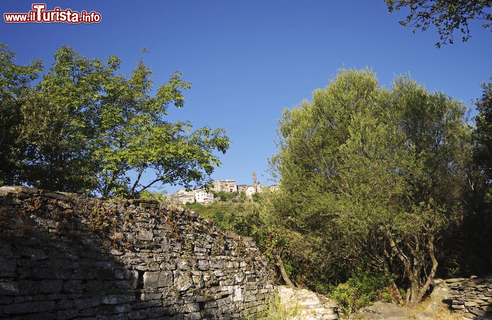 Immagine Uno scorcio di Penta di Casinca che si intravede dietro ad un muretto a secco della Corsica