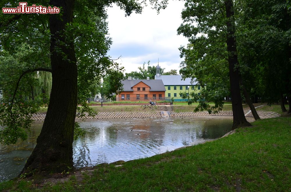 Immagine Uno scorcio di Reymont Park fotografato in estate a Lodz, Polonia. L'area verde si estende per oltre 6 ettari.