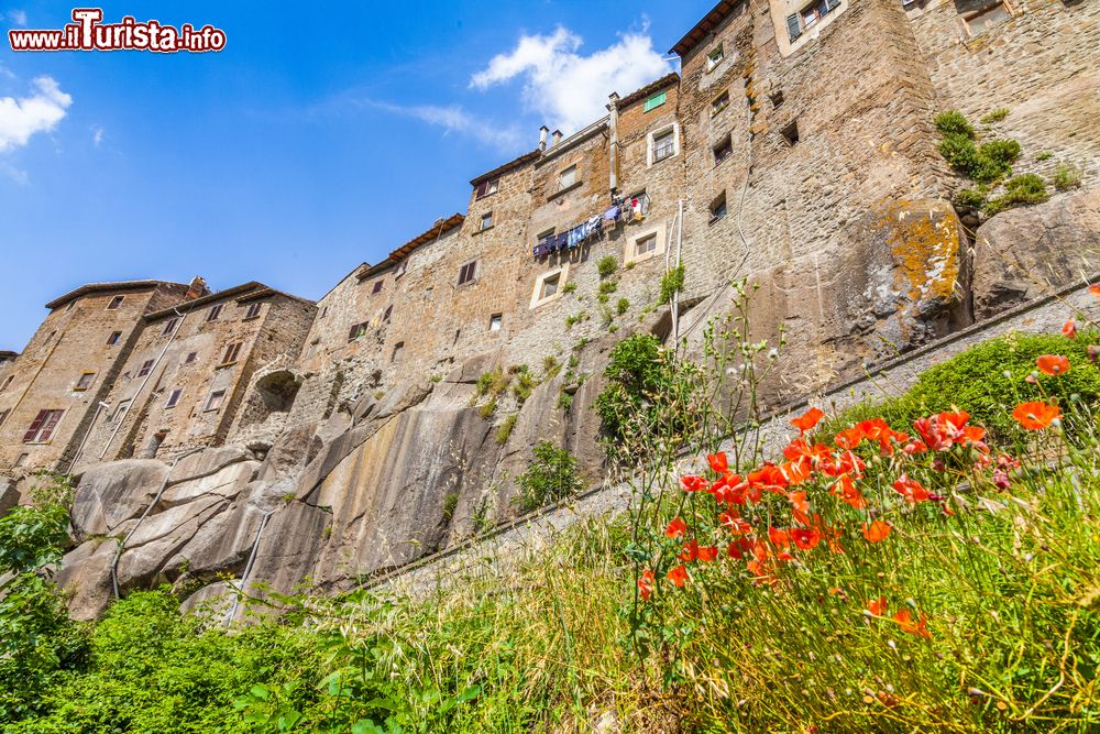 Immagine Uno scorcio di VItorchiano e la rupe di tufo della Provincia di VIterbo nel Lazio