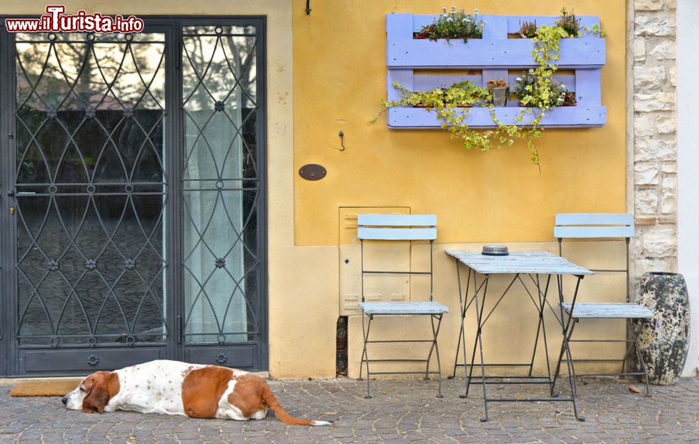 Immagine Uno scorcio estivo del borgo di Sirolo nelle Marche