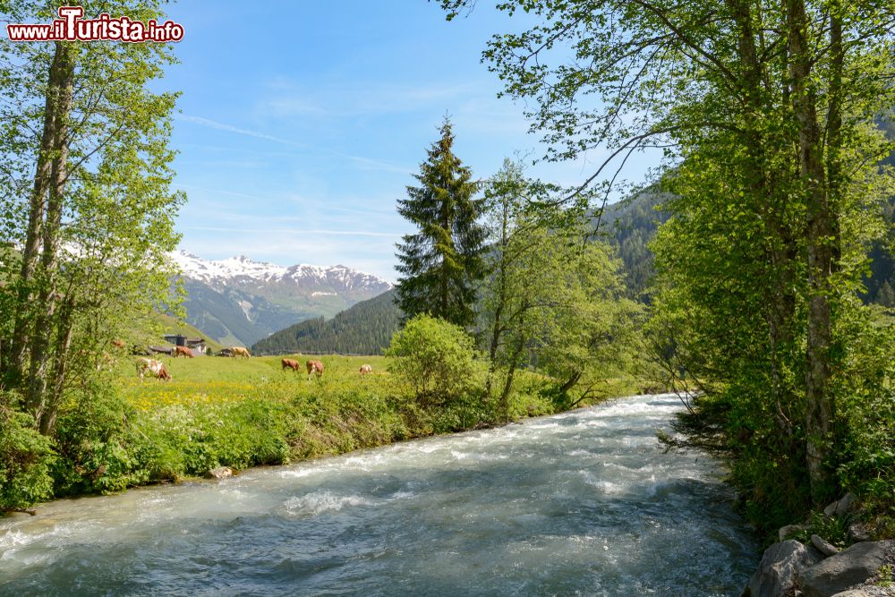 Immagine Uno scorcio estivo della valle di Tuxertal con il fiume Tux e le alpi di Zillertal, Austria. Siamo nei pressi del villaggio di Juns e del ghiacciaio di Hintertux.