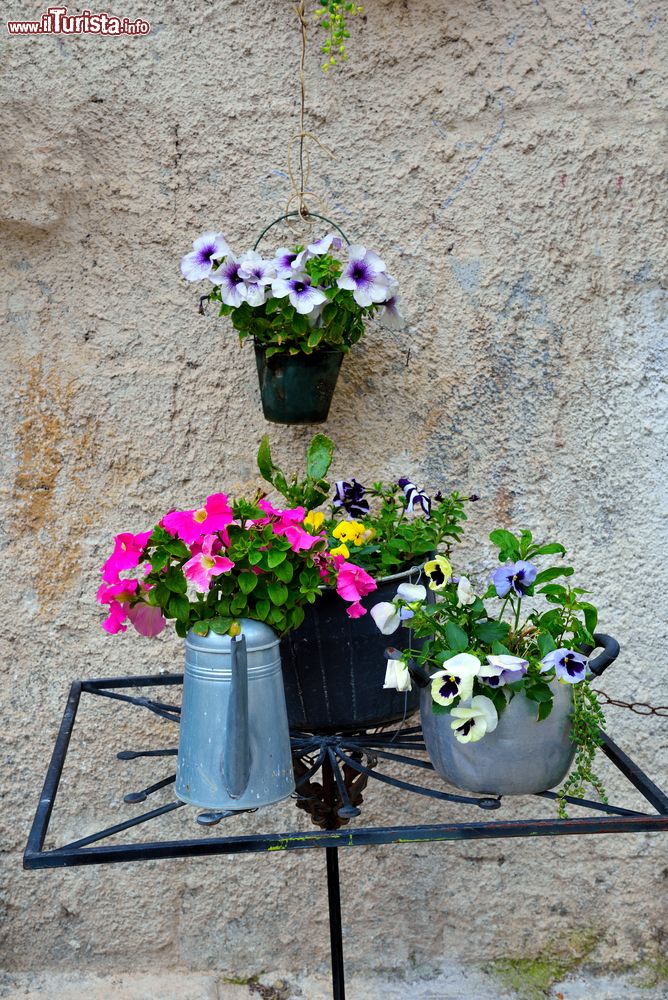 Immagine Uno scorcio floreale in una strada di Eboli in Campania