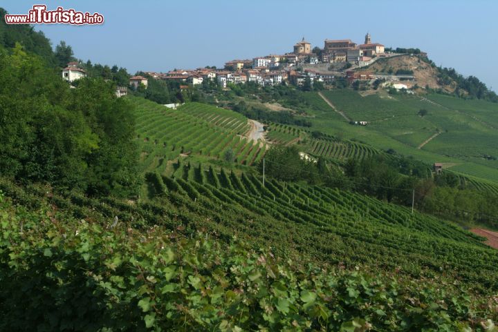 Immagine Uno scorcio fotografico del villaggio di La Morra, Cuneo, Piemonte. La produzione di vini è l'attività principale di questo angolo della provincia cuneese: il vitigno più pregiato e coltivato su queste colline è il Nebbiolo da cui si produce il Langhe Nebbiolo e il Barolo ma si coltivano anche Barbera, Freisa, Nascetta e Dolcetto